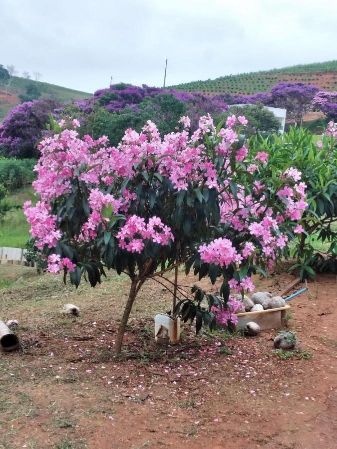 Вілла Sitio Da Vo Lena - Alto Caparao Mg Caparao Velho Екстер'єр фото